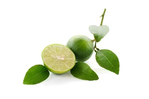 Lime close up isolated on white background Stock Photos