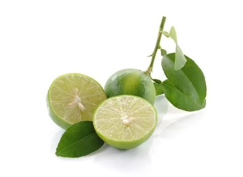 Lime close up isolated on white background Stock Photos