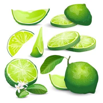 Lime collection Stock Illustration