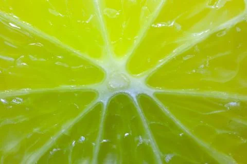 Lime cut into the whole frame macro Stock-Fotos