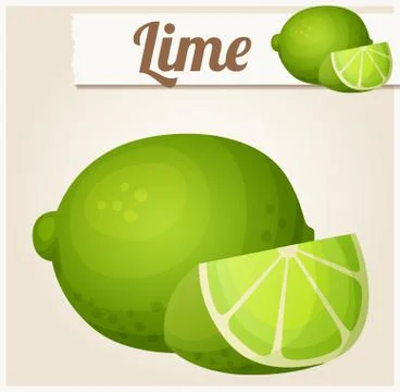 Lime. Detailed vector icon 스톡 일러스트