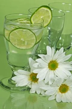 Lime drinks with daisies Stock Photos