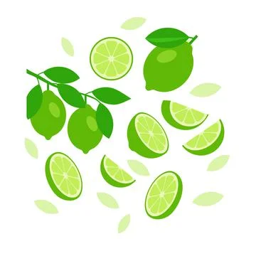 Lime elements abstract vector design background Stock Illustration