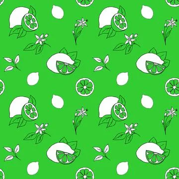 Lime endless pattern, lime leaves and fruits, vector graphics Illustrazione stock