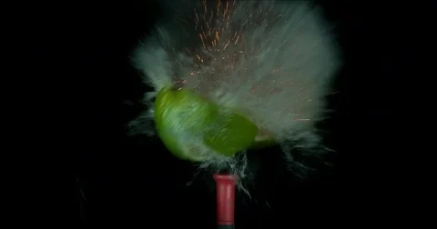 Lime Explodes and Flies Apart Stock Footage 77781265