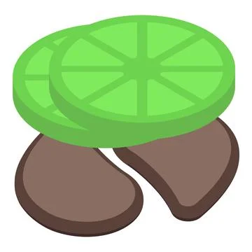 Lime eye patch icon isometric vector. Gel mask イラスト素材