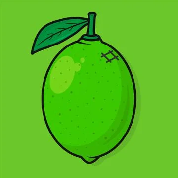 Lime fresh fruit green leaf Stock Illustration