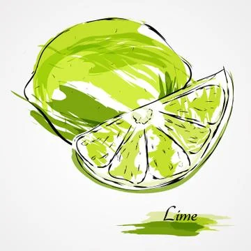 Lime fruit Stock Illustration