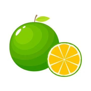 Lime fruit illustration with a cut Stock Illustration