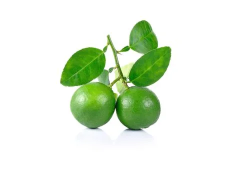 Lime fruit isolated on white background. Stock Photos