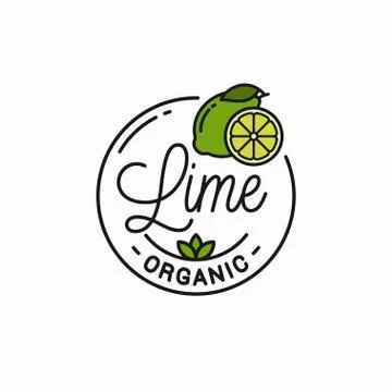 Lime fruit logo. Round linear logo of lime slice Stock Illustration