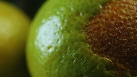 Lime fruit macro close up rotating camera motion stock footage Vídeo Stock 328507271