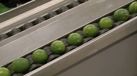 Lime fruit move on production line Stock Footage 1103038