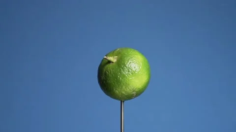 Lime - Fruit rotating on Bluescreen 库存影片 199596216