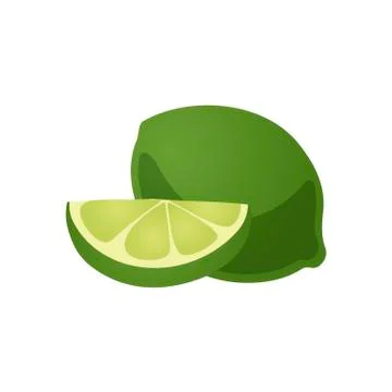 Lime fruit with slice on white background. Vector illustration in trendy flat Illustration