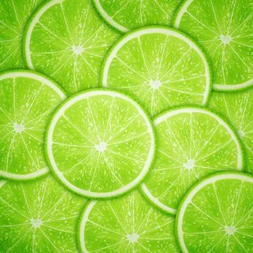 Lime fruit slices background Illustration