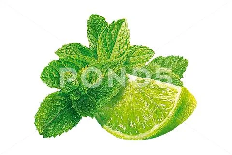 Lime. fruit with slices isolated on white Stock Photos