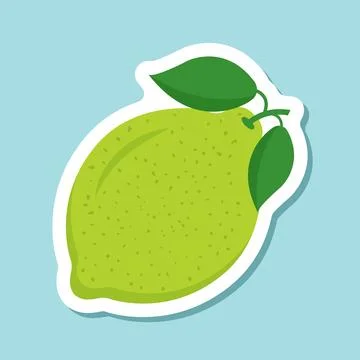 Lime fruit sticker icon in flat style. Organic fruits vector illustration o.. Stock Illustration