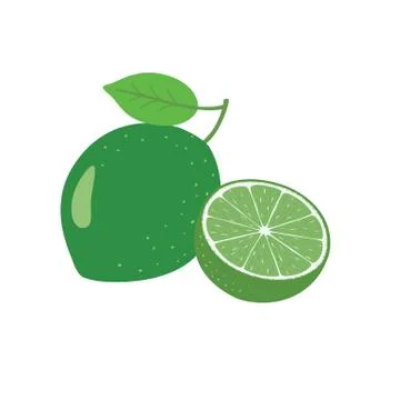 Lime Fruit Vector illustration Stock Illustration