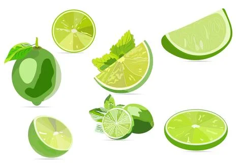 Lime Fruit Vector Set with Whole and Sliced Citrus Pieces and Mint Leaves Ilustración de archivo