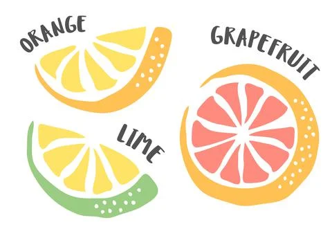 Lime, Grapefruit and Orange hand painted with ink brush Stock Illustration