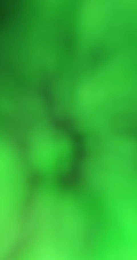 Lime green and emerald gradient with dark forest shadows, seamless loop Stock Footage 339204025