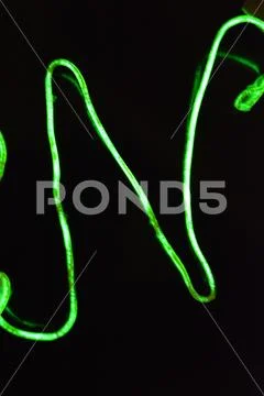 Lime green lighting with specific pattern with inscription, letters open neon. Stock Photos
