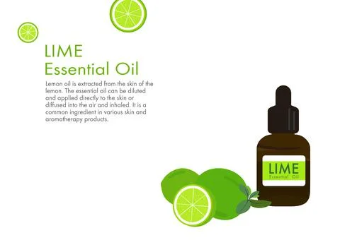 Lime herb for essential oil extraction in medical treatment vector ep01 Stock Illustration