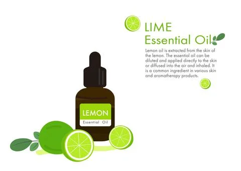 Lime herb for essential oil extraction in medical treatment vector ep02 Stock Illustration