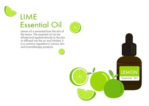 Lime herb for essential oil extraction in medical treatment vector ep03 Stock Illustration