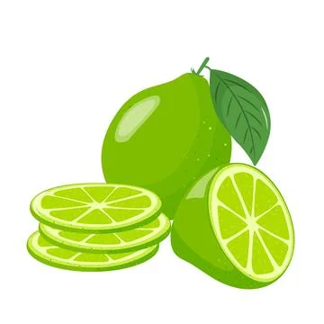 Lime icons set. Bright whole fruit, half, slices with leaves. Food for a healthy Stock Illustration