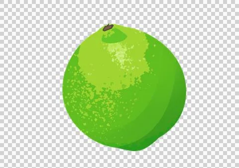 Lime illustration on a transparent background Stock Illustration