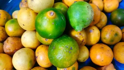 Lime improves digestion, boosts immunity, and has antioxidants for skin health. Stock Photos