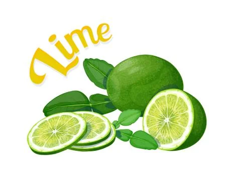 Lime. Isolated objects on a white background Stock Illustration