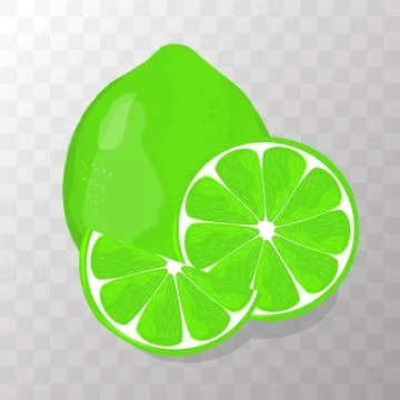 Lime isolated vector illustration Stock Illustration