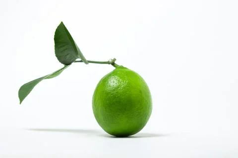 Lime isolated on white background. Stock Photos