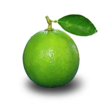 Lime isolated on white Foto stock