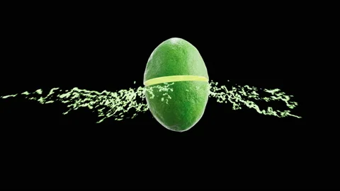Lime jumping in slow motion with juice coming out on Black Vídeos de archivo 144927080