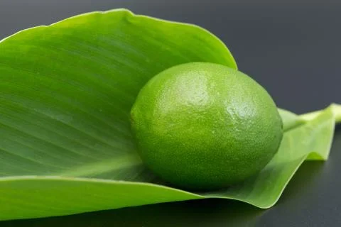 Lime &amp; Leaf Stock Photos