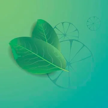 Lime with leaves Stock Illustration