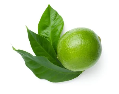 Lime With Leaves Isolated On White Background Stock Photos