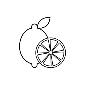 Lime lemon fruit vector icon outline. EPS 10. Citrus vitamin illustration. Is Stock Illustration