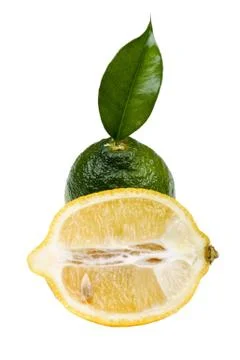 Lime with lemon Stock Photos