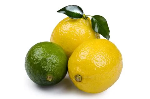 Lime with lemon on white background Stock Photos