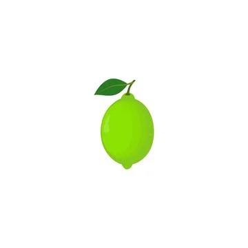 Lime. Lime with leaf. Stock Illustration