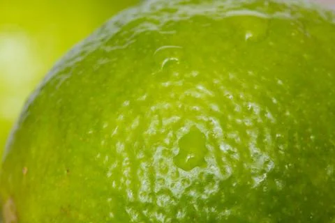 Lime from near Stock Photos