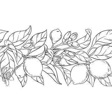 Lime Outline Horizontal Seamless Pattern Stock Illustration