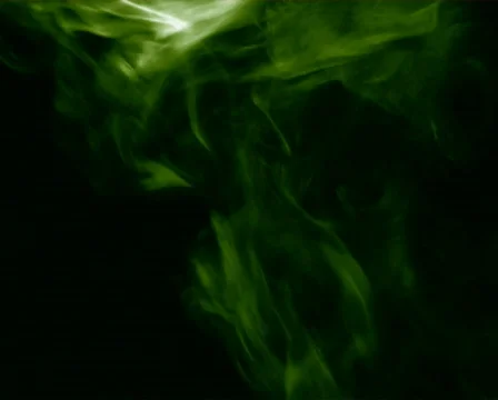 Lime Over Black 库存影片 104904