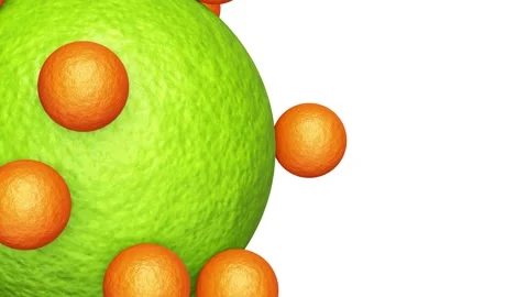 Lime peel sphere with rolling orange spheres looping 3D animation with alpha Stock Footage 204790062
