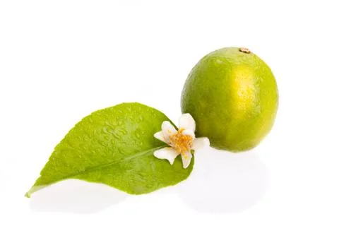 Lime 库存照片